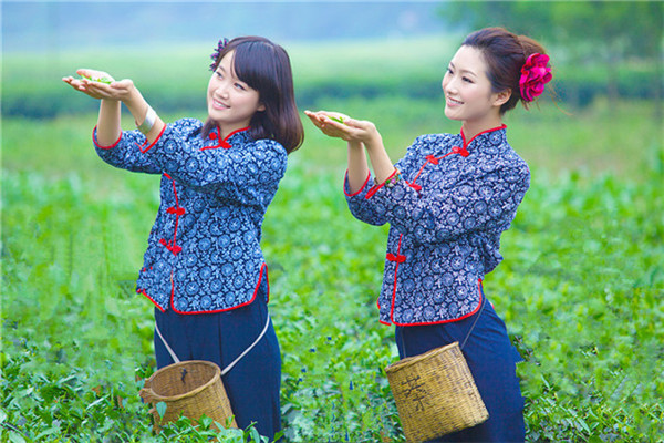 蒙顶山茶雅女采茶姑娘