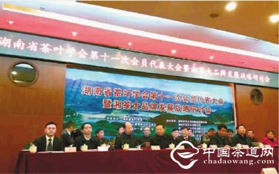 第十一次会员代表大会暨湘茶大品牌发展战略研讨会