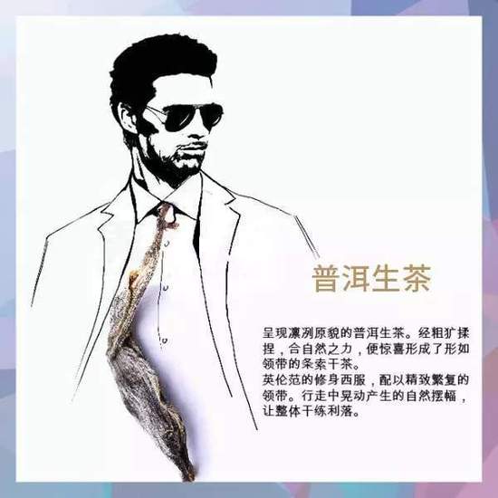 茶叶时装片