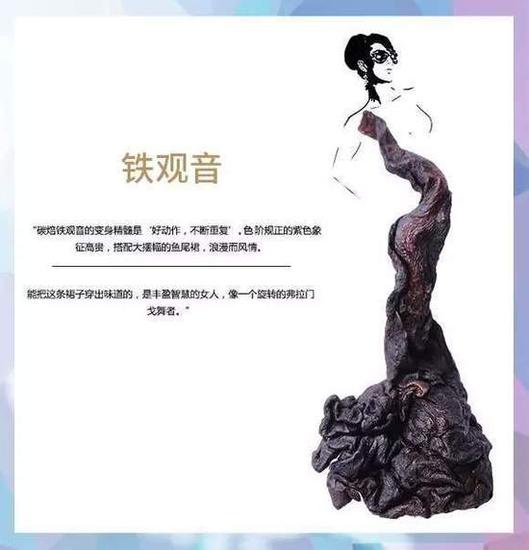茶叶时装片