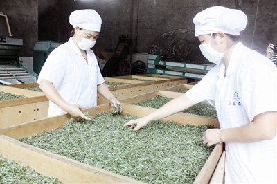 宜宾双星茶业上半年自营出口52万美元