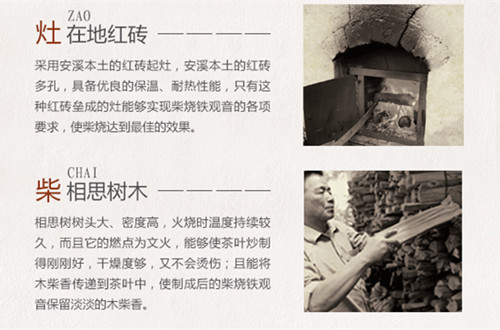 中国茶业网